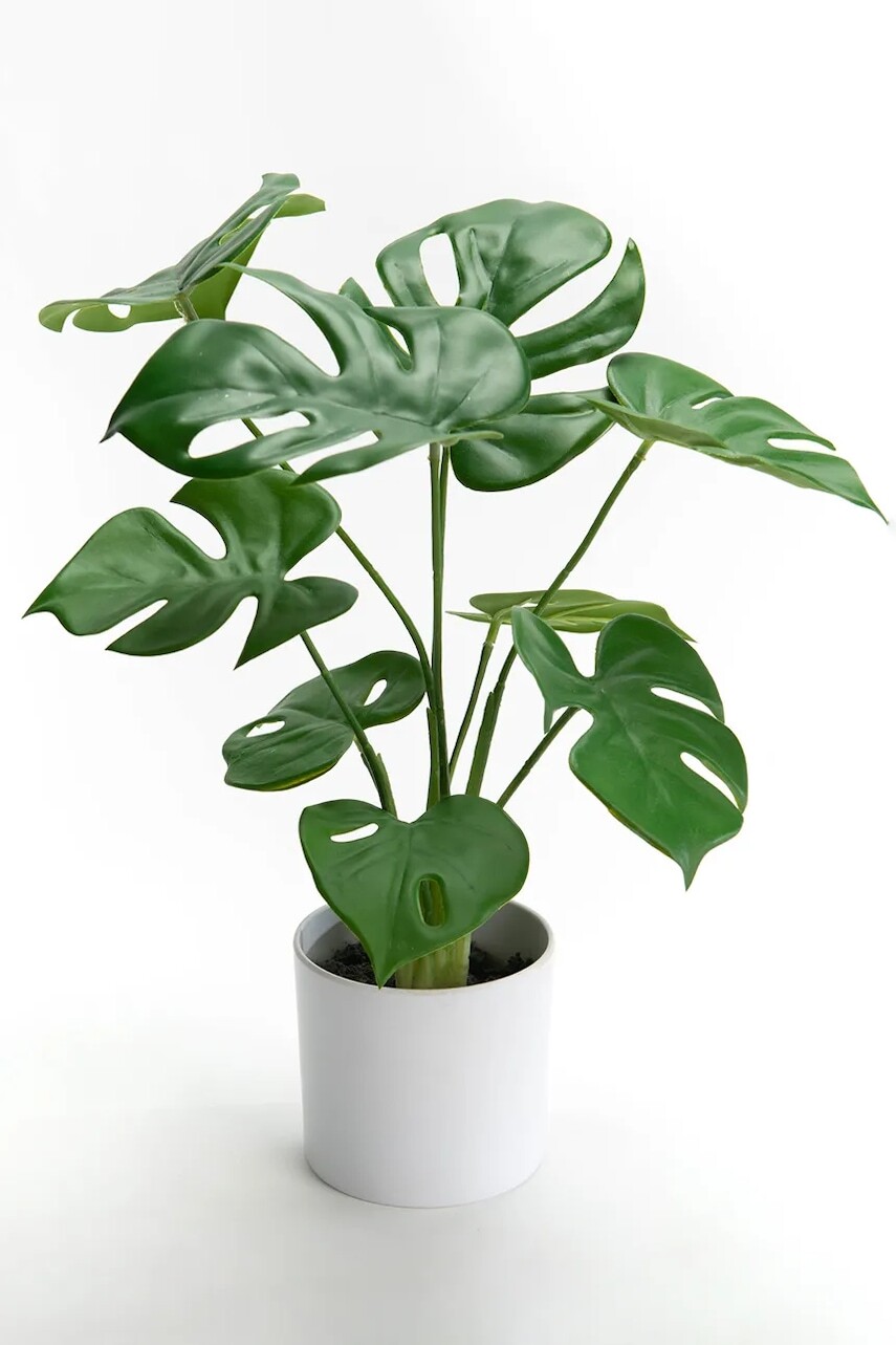 Umelá rastlina v kvetináči home & lifestyle 10 x 39 cm