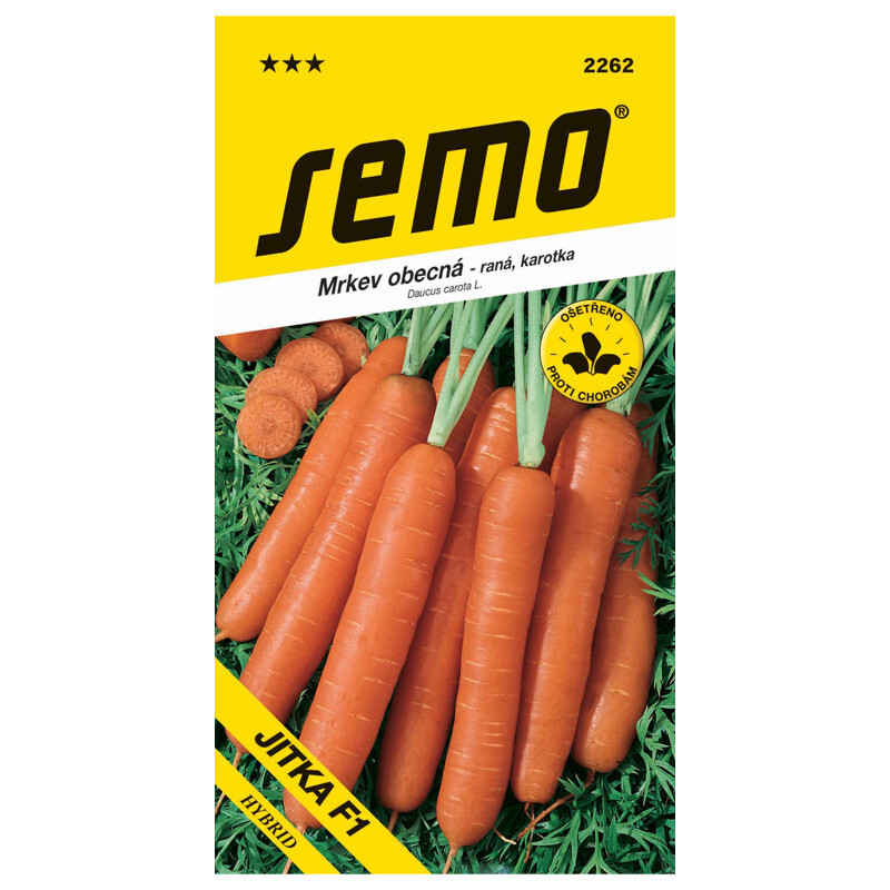 SEMO Mrkva JITKA F1