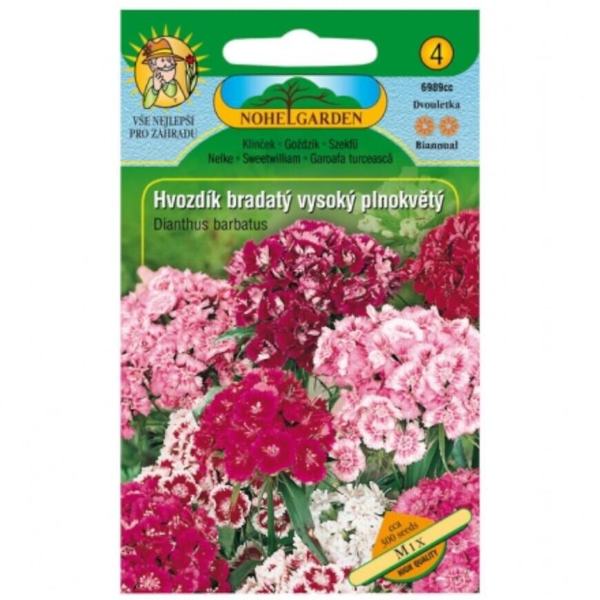 Klinček bradatý vysoký plnokvetý, zmes