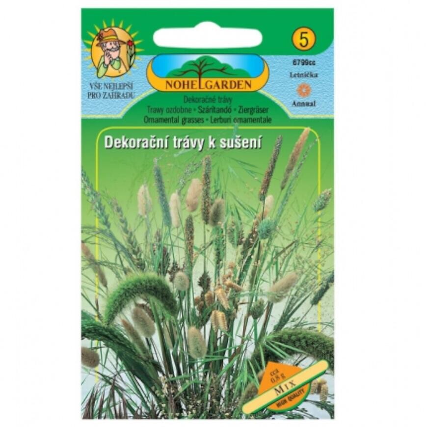 Dekoračné trávy na sušenie