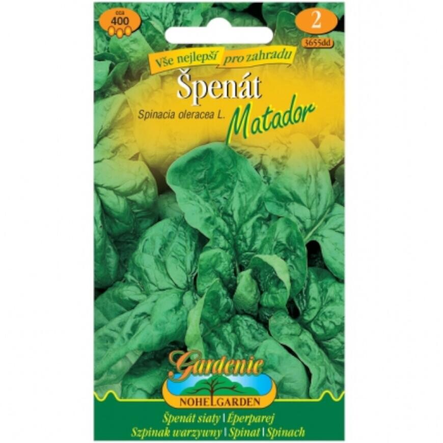 Špenát siaty Matador