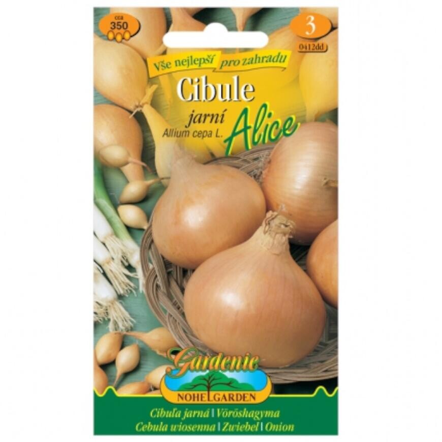 Cibuľa jarná Alice, žltá