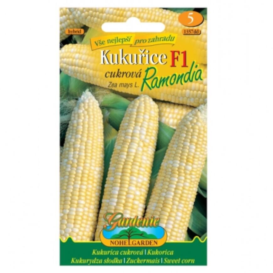 Kururica cukrová Ramondia F1 - hybrid
