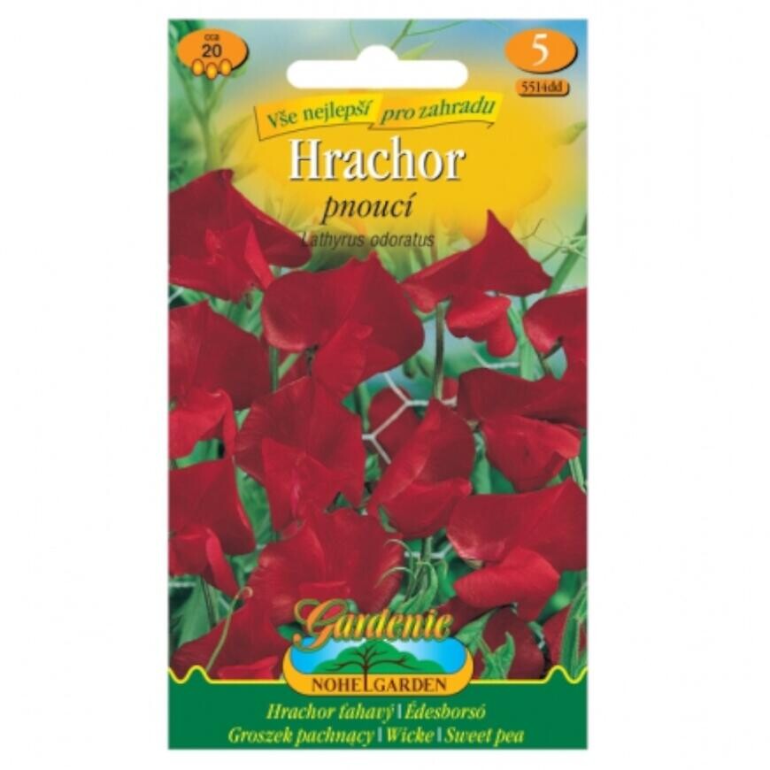 Hrachor vonný ťahavý, červený