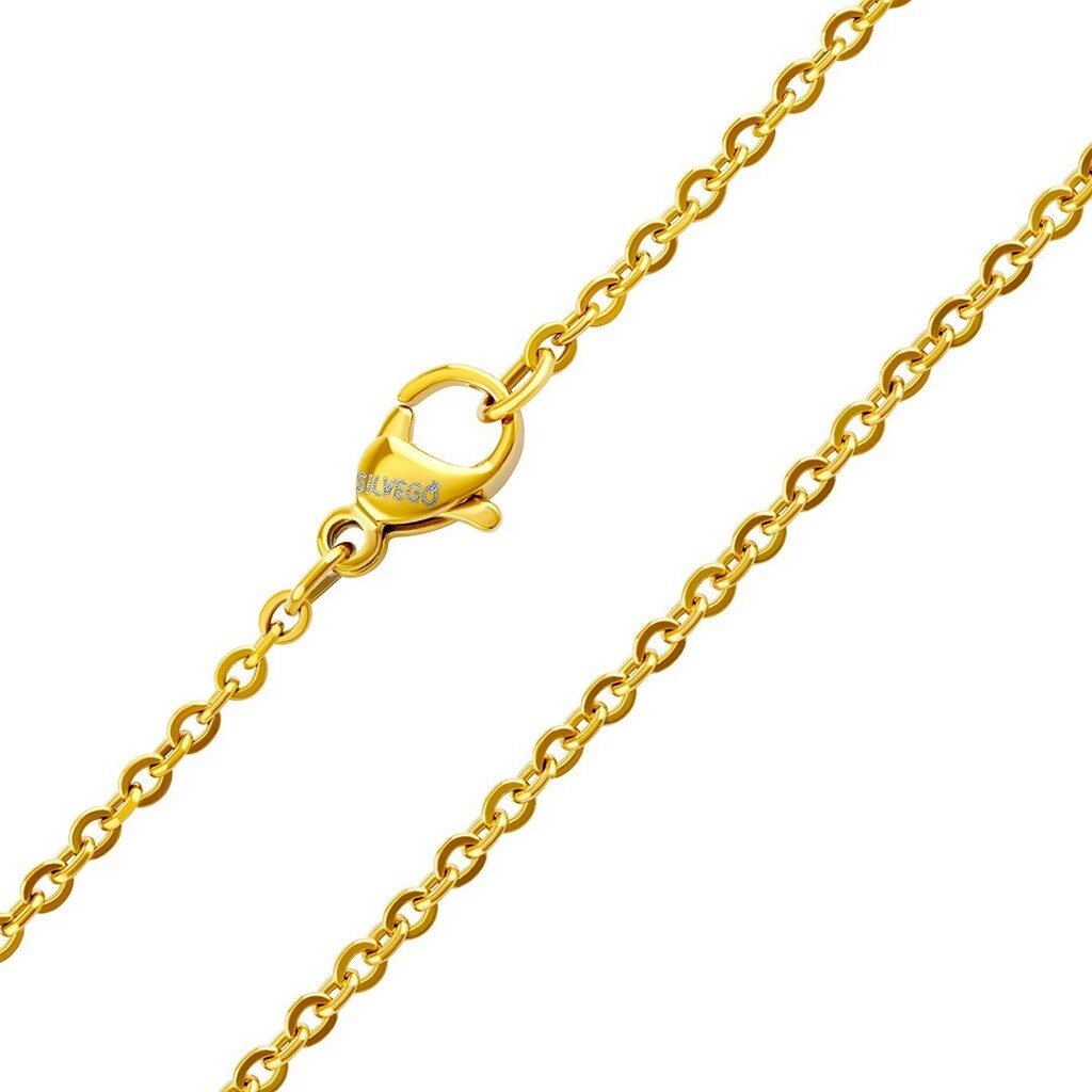 Silvego Pozlátená retiazka Anker Roma z chirurgickej ocele 2 mm KMM24329 45 cm