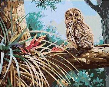 Zuty – Maľovanie podľa čísel – Sova v lese (D. Rusty Rust), 80 × 100 cm, plátno + rám