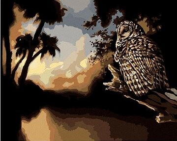 Zuty – Maľovanie podľa čísel – Sova v noci (D. Rusty Rust), 80 × 100 cm, plátno + rám