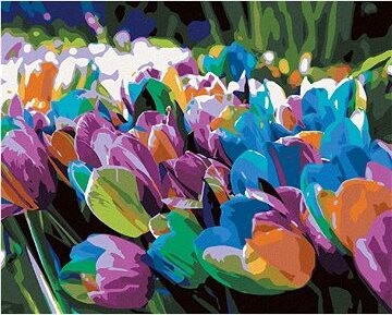 Zuty – Maľovanie Podľa Čísel – Dúhové Tulipány, 80 × 100 cm, Plátno + Rám