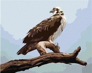 Zuty – Maľovanie podľa čísel – Orol na vetve 2 (D. Rusty Rust), 80 × 100 cm, plátno + rám