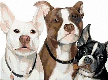 Zuty – Maľovanie Podľa Čísel – Psia Rodinka (Myroslava Voloschuk), 80 × 100 cm, Plátno + Rám