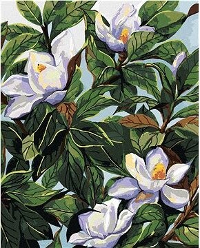 Zuty - Maľovanie podľa čísel - Biele kvety magnólie A Listy (Alexandria Gilbert), 80 × 100 cm, plátno