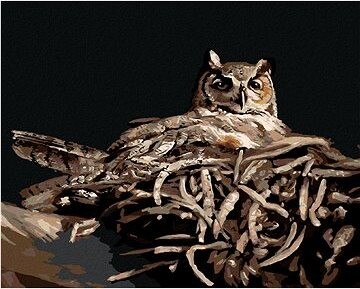 Zuty – Maľovanie podľa čísel – Sova v hniezde v noci (D. Rusty Rust), 80 × 100 cm, plátno + rám
