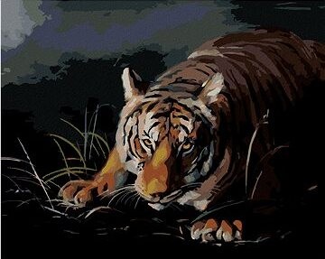 Zuty – Maľovanie podľa čísel – Tiger číhajúci v tme (D. Rusty Rust), 80 × 100 cm, plátno + rám