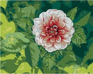 Zuty – Maľovanie Podľa Čísel – Dahlia Medzi Listami, 80 × 100 cm, Plátno + Rám