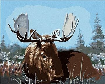 Zuty – Maľovanie podľa čísel – Los ležiaci v tráve (D. Rusty Rust), 80 × 100 cm, plátno + rám