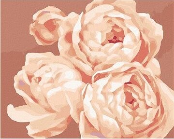 Zuty – Maľovanie Podľa Čísel – Pivonky 2 (Myroslava Voloschuk), 80 × 100 cm, Plátno + Rám