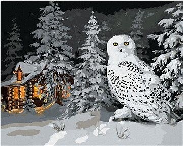 Zuty – Maľovanie Podľa Čísel – Snežná Sova V Lese A Chata V Zime (D. Rusty Rust), 80 × 100 cm, Plátno + Rám