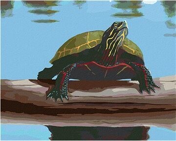 Zuty – Maľovanie Podľa Čísel – Korytnačka Pri rybníku, (Robert Johnson), 80 × 100 cm, Plátno + Rám