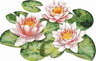 Zuty – Maľovanie Podľa Čísel – Lekná v Záhradnom Jazierku, 80 × 100 cm, Plátno + Rám