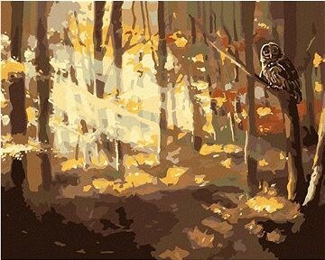Zuty – Maľovanie podľa čísel – Sova a les na jeseň (D. Rusty Rust), 80 × 100 cm, plátno + rám