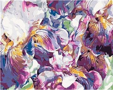 Zuty – Maľovanie Podľa Čísel – Fialové Kosatce, 80 × 100 cm, Plátno + Rám