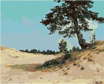 Zuty – Maľovanie Podľa Čísel – Borovice Na Piesku (Ivan Shishkin), 80 × 100 cm, Plátno + Rám