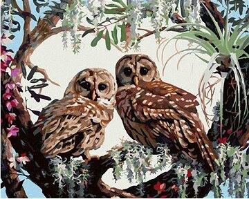 Zuty – Maľovanie podľa čísel – Sovy a srdce z vetvičiek (D. Rusty Rust), 80 × 100 cm, plátno + rám