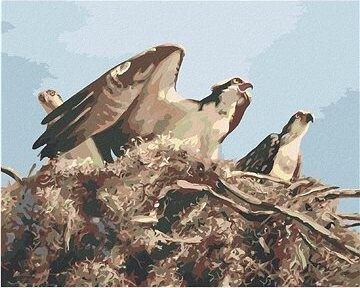 Zuty – Maľovanie podľa čísel – Orol v hniezde (D. Rusty Rust), 80 × 100 cm, plátno + rám