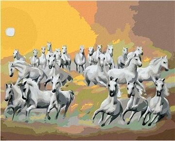 Zuty – Maľovanie podľa čísel – Biele kone v mrakoch a slnko (D. Rusty Rust), 80 × 100 cm, plátno + rám