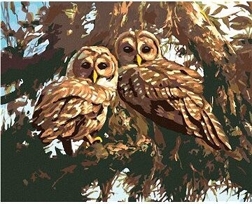 Zuty – Maľovanie podľa čísel – Sovy na strome (D. Rusty Rust), 80 × 100 cm, plátno + rám