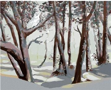 Zuty – Maľovanie podľa čísel – Snežná sova a les v zime (D. Rusty Rust), 80 × 100 cm, plátno + rám