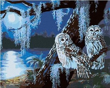 Zuty – Maľovanie podľa čísel – Snežná sova v noci za splnu (D. Rusty Rust), 80 × 100 cm, plátno + rám