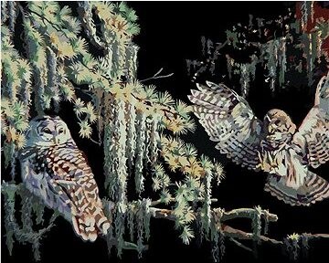 Zuty – Maľovanie podľa čísel – Sovy v noci (D. Rusty Rust), 80 × 100 cm, plátno + rám