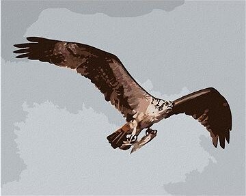 Zuty – Maľovanie podľa čísel – Orol v letku s korisťou (D. Rusty Rust), 80 × 100 cm, plátno + rám
