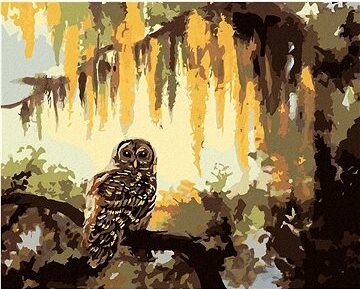 Zuty – Maľovanie podľa čísel – Sova a stromy (D. Rusty Rust), 80 × 100 cm, plátno + rám