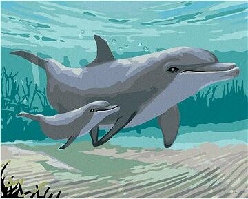 Zuty – Maľovanie Podľa Čísel – Delfíny (Robert Johnson), 80 × 100 cm, Plátno + Rám