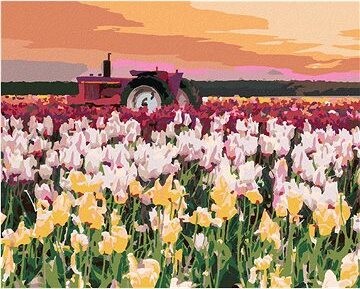 Zuty - Maľovanie podľa čísel - Tulipány na poli (Ted Davis), 80 × 100 cm, plátno + rám