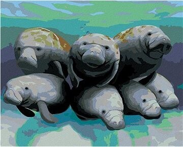 Zuty - Maľovanie podľa čísel - Sedem lamantínov (Robert Johnson), 80 × 100 cm, plátno + rám