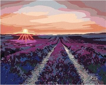 Zuty – Maľovanie Podľa Čísel – Levanduľové Pole A Západ Slnka, 80 × 100 cm, Plátno + Rám