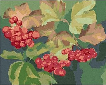 Zuty – Maľovanie Podľa Čísel – Červené Ríbezle (Myroslava Voloschuk), 80 × 100 cm, Plátno + Rám