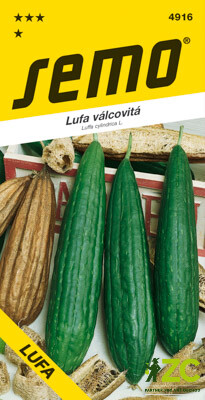 SEMO Lufa valcovitá