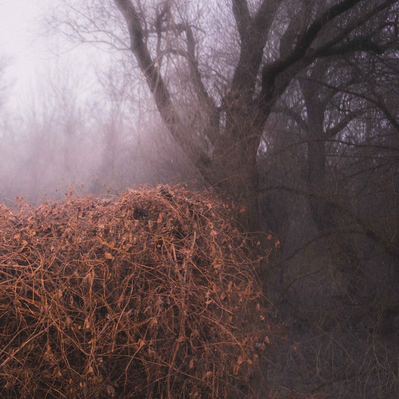 NINCS SZENNYEZETLEN SZEP