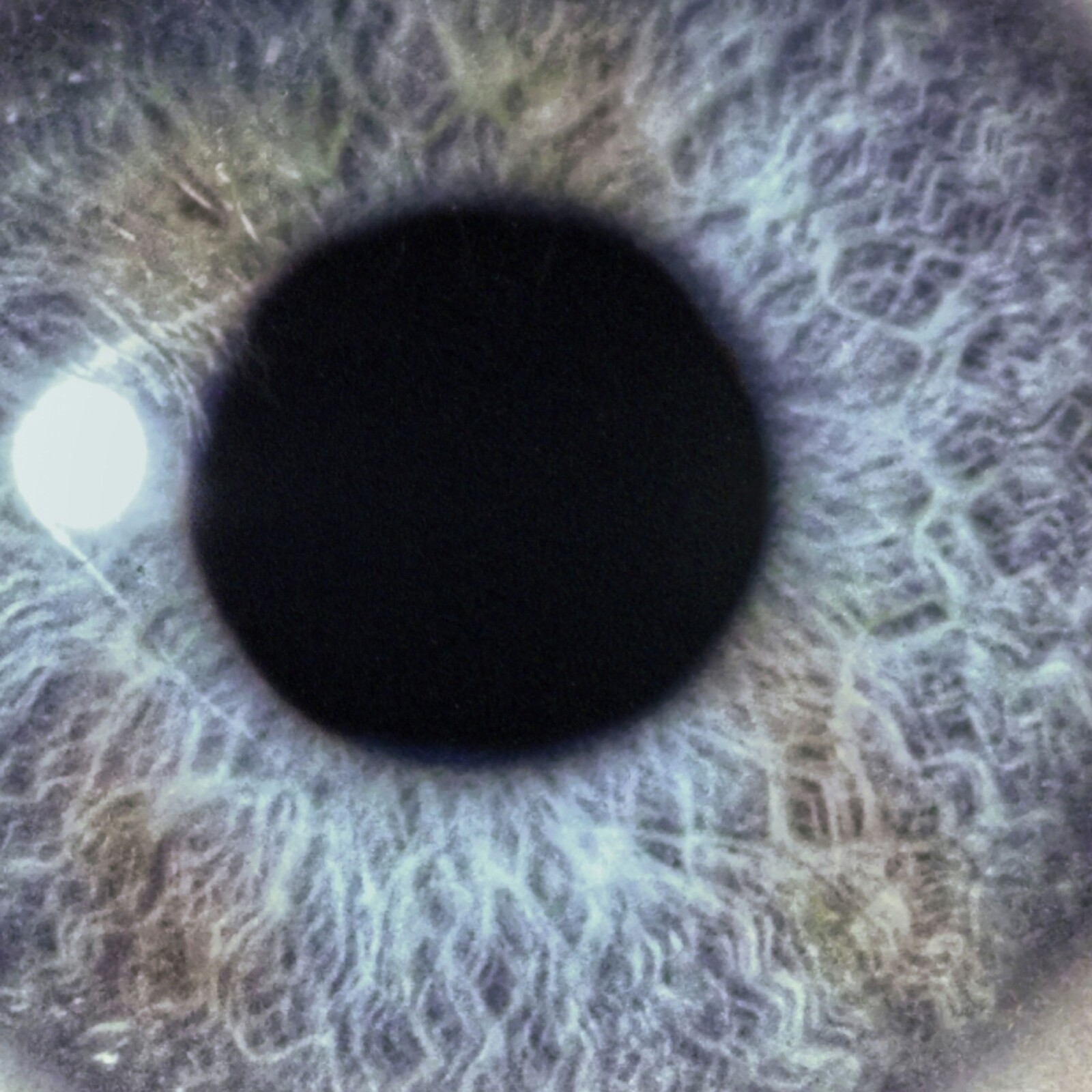 Moontower (Re-Issue)