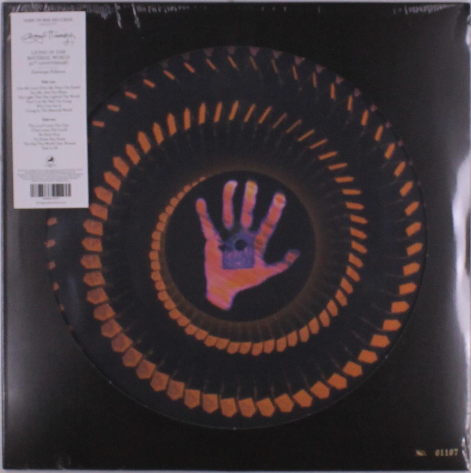 LIVING IN THE MATERIAL WORLD