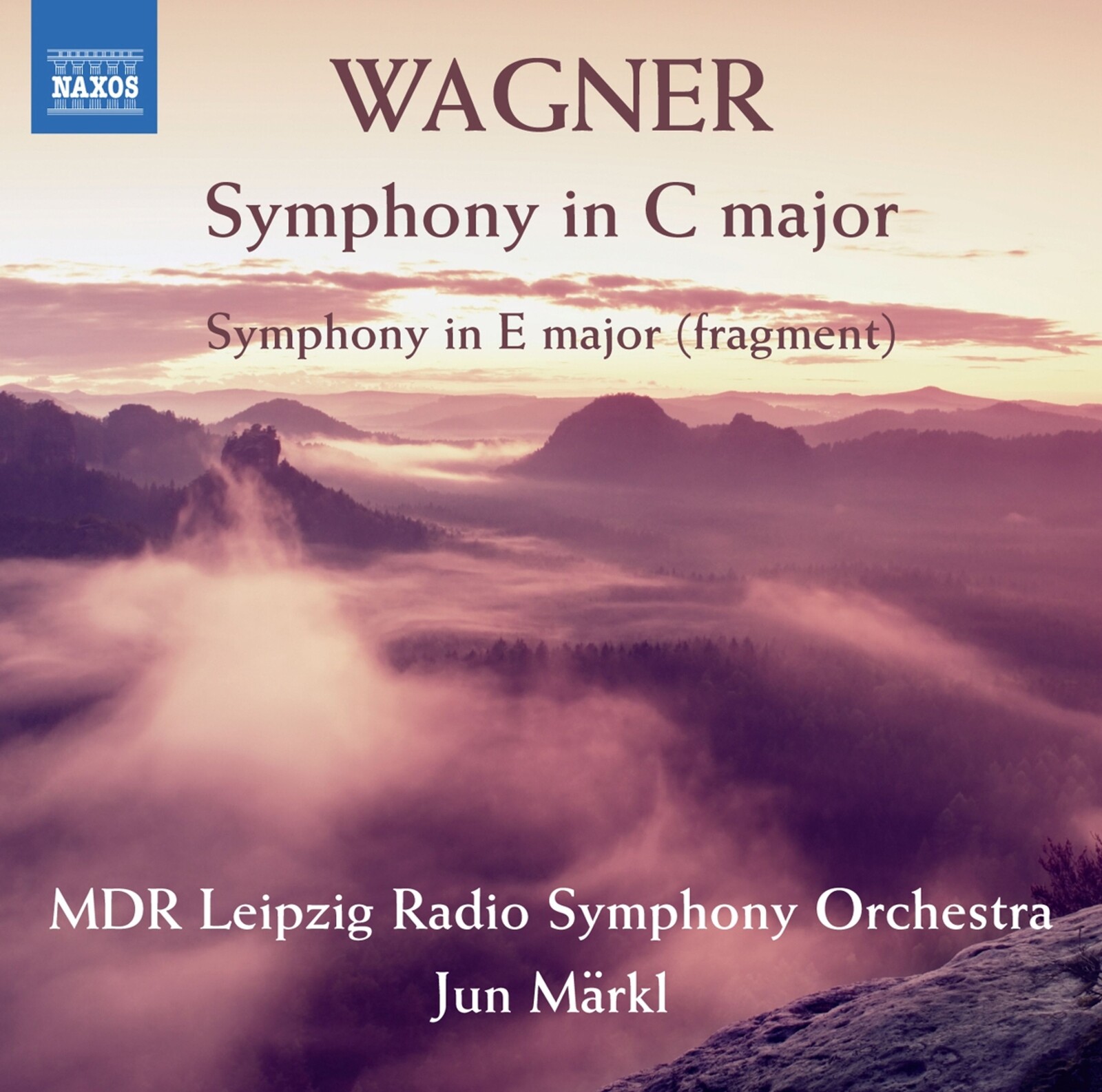SYMPHONY IN C MAJOR/SYMPHONY IN E MAJOR (FRAGMENT)