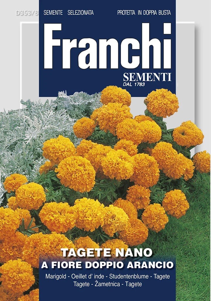 Franchi Aksamietnica nízka – ORANŽOVÁ – semená
