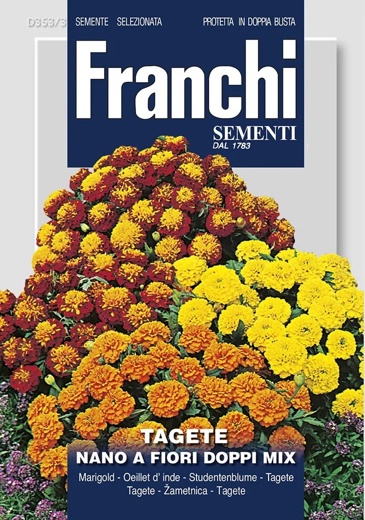 Franchi Aksamietnica nízka – VIACFAREBNÁ ZMES – semená