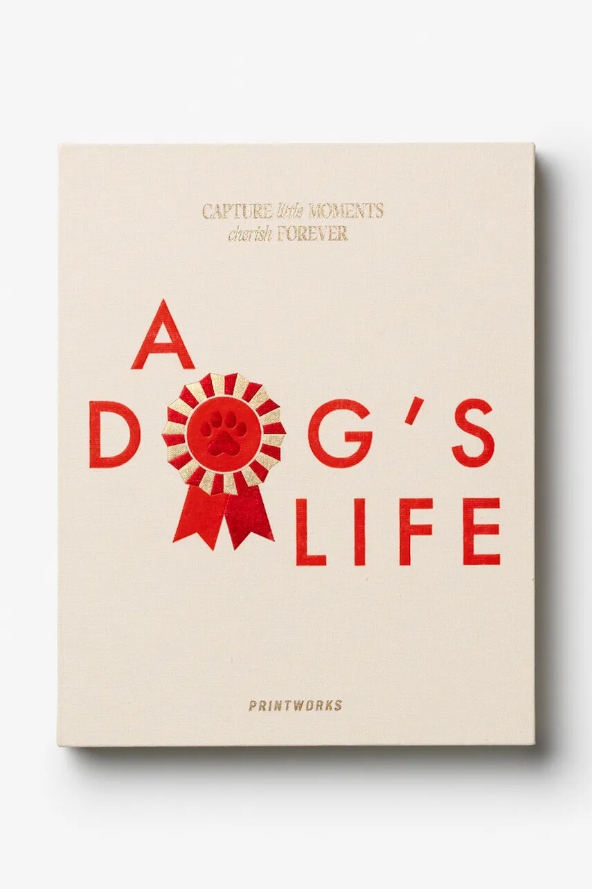 Denník Printworks A Dog's Life 23,8 x 18,9 cm