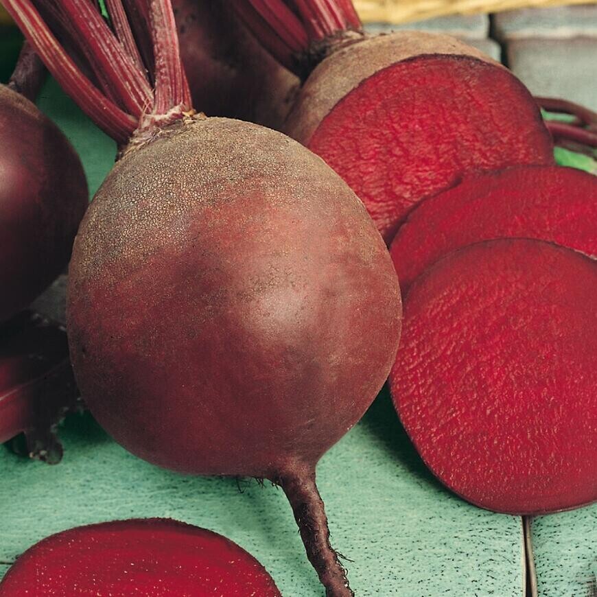 Bona cvikla guľatá