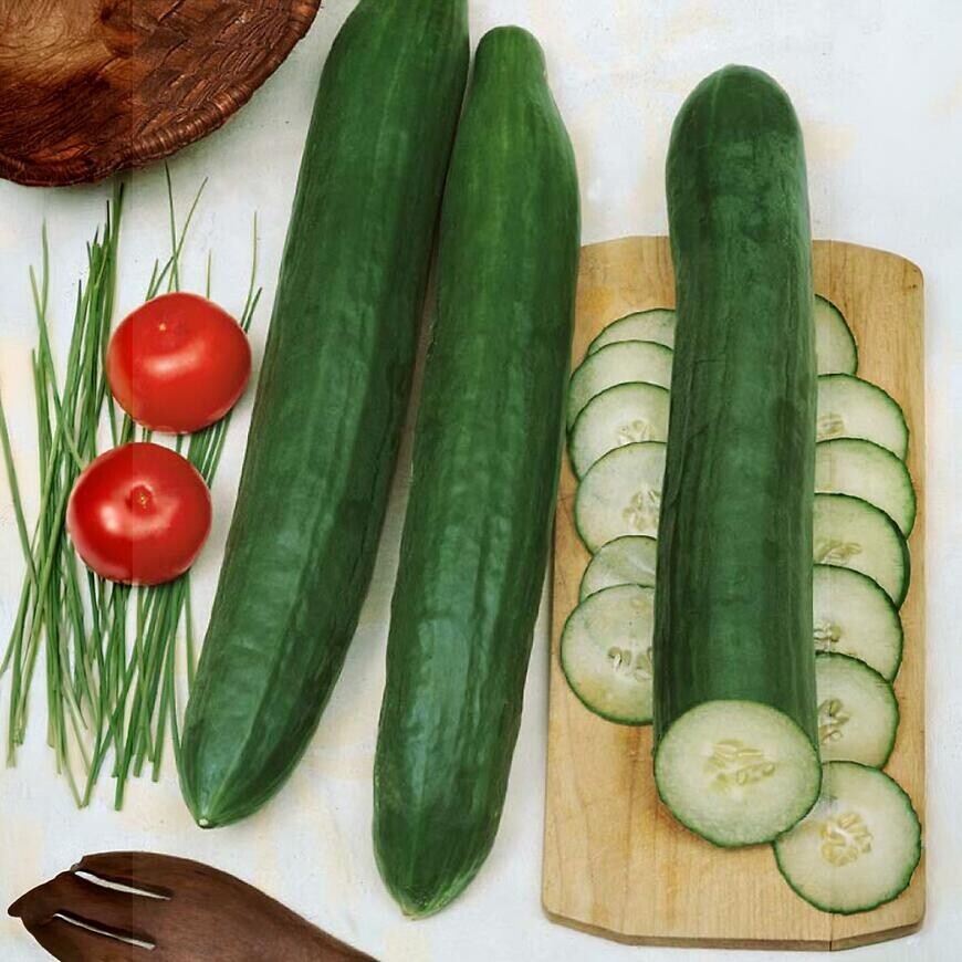 Uhorka siata šalátová Premium